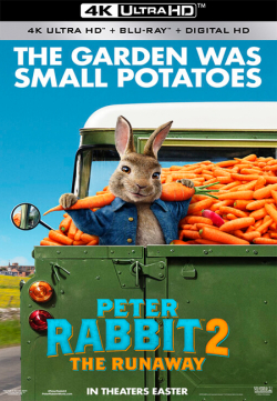 Peter Rabbit 2 2021 4K مترجم