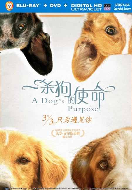 مشاهدة فيلم A Dog’s Purpose 2017 مترجم