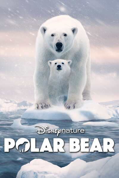 مشاهدة فيلم Polar Bear 2022 مترجم اون لاين