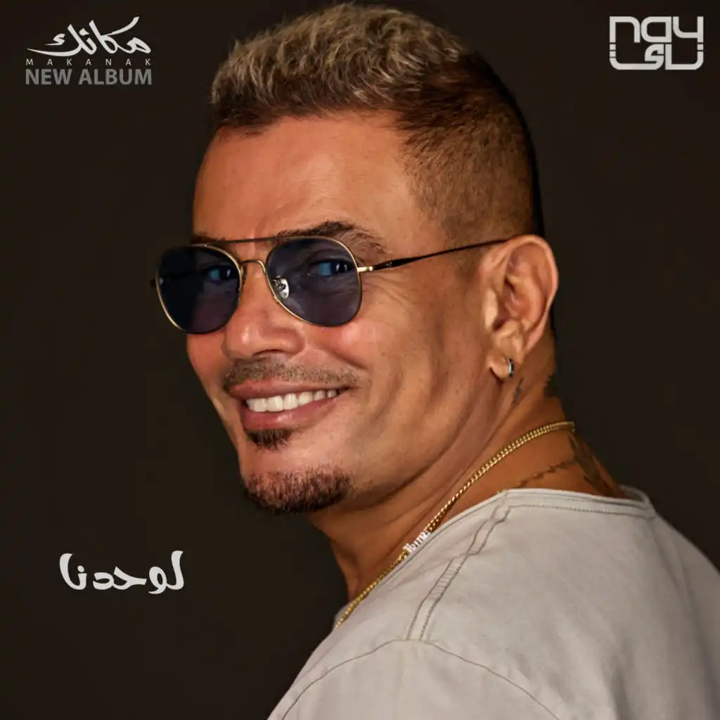 تحميل واستماع اغنية عمرو دياب – لوحدنا 2024 Mp3